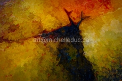 DSC00851 :*****copie-studio copie-studio copie 2