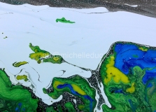 DSC00921 copie-studio copie