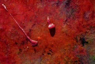 DSC00158